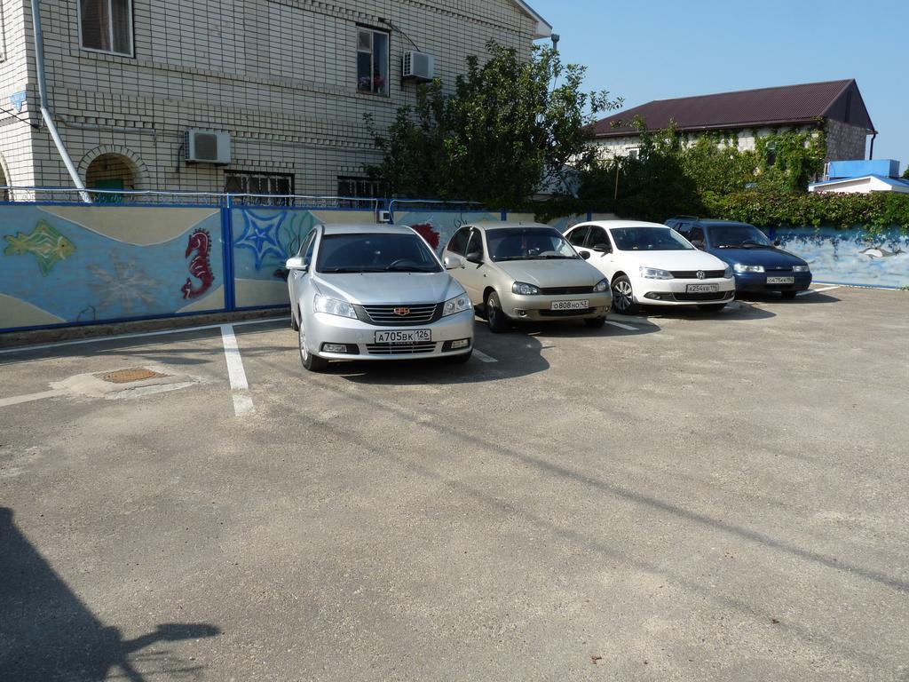 Фото Дельфин