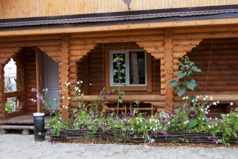 Фото Лесная