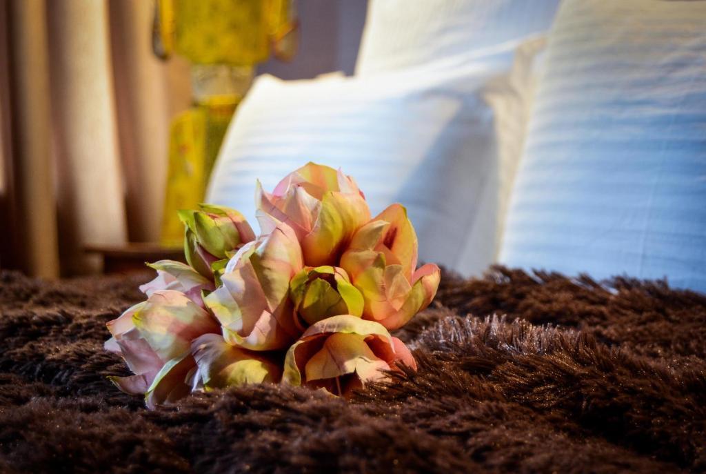 Фото Красная гора