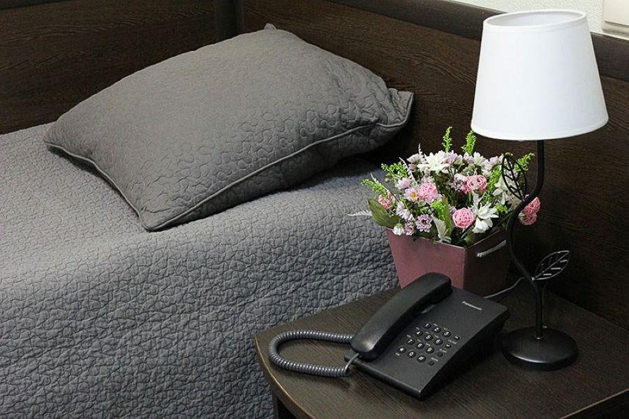 Фото Полярис