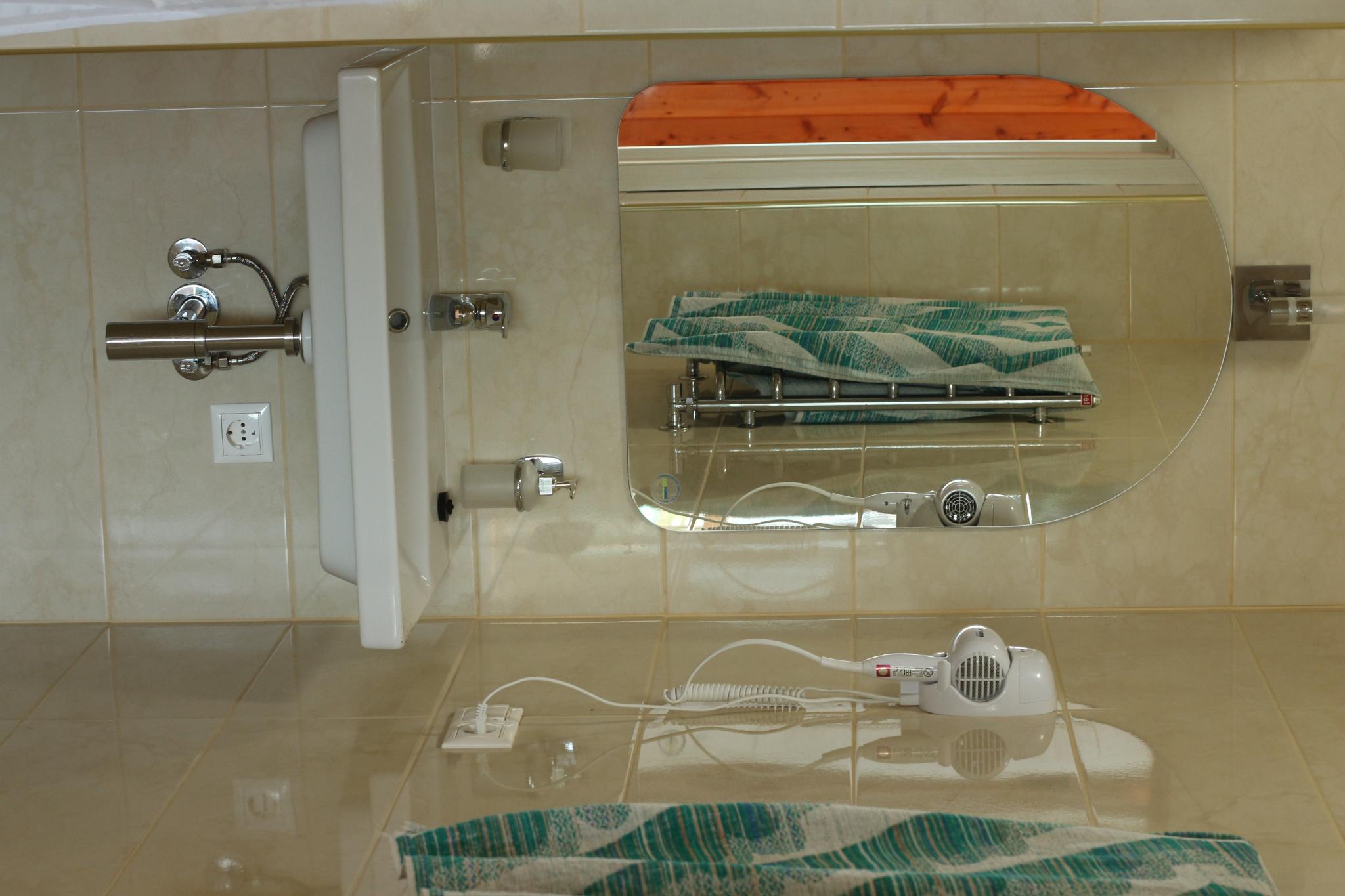 Фото Авокадо