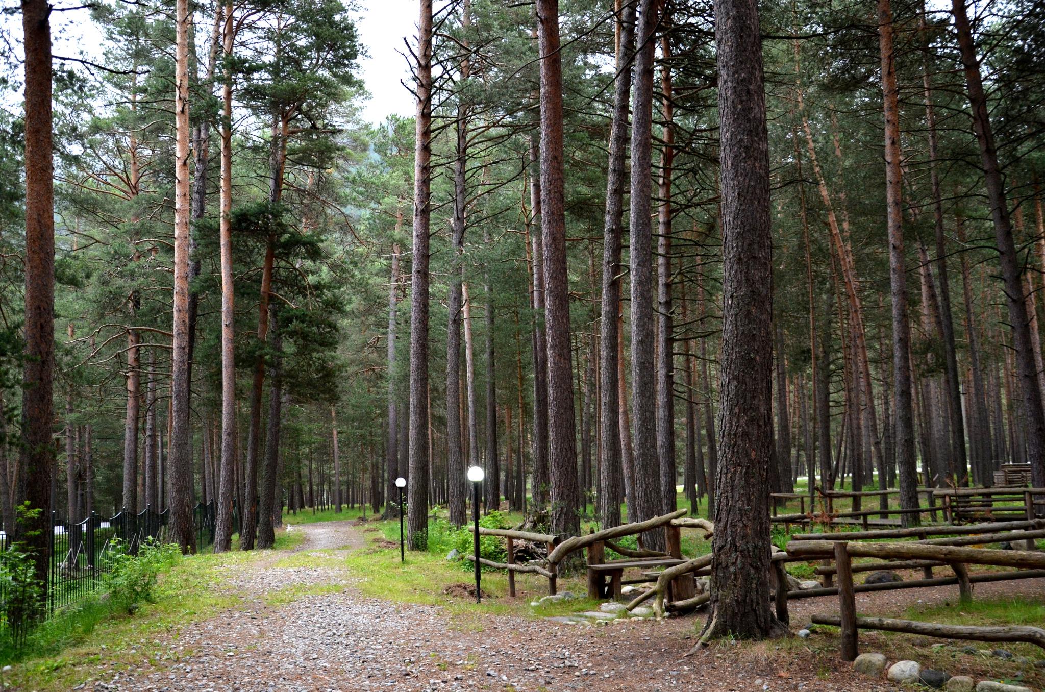 Фото Эльбрус Марал