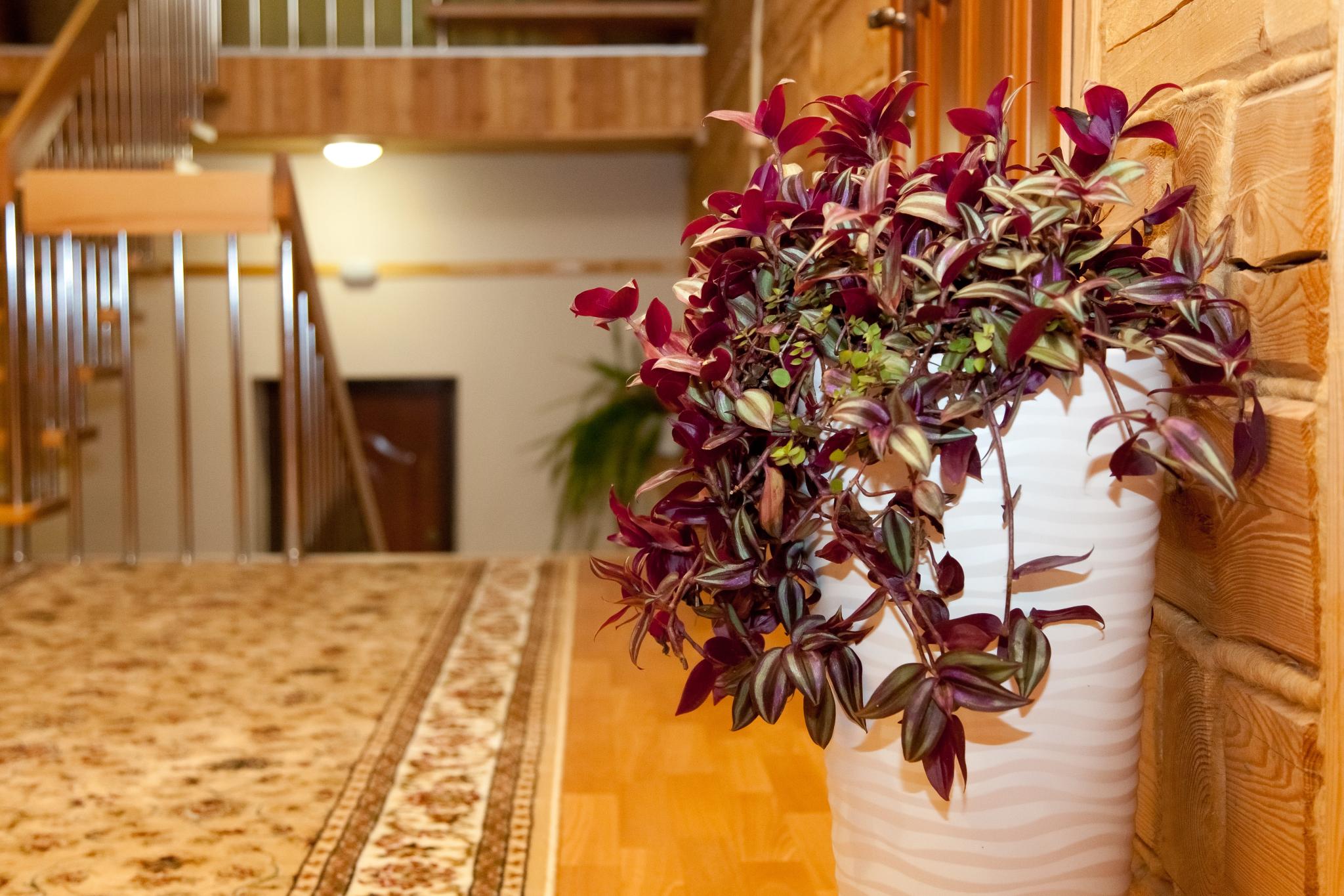 Фото Уютный тёплый дом