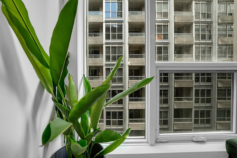 Фото The Noho Signature Collection