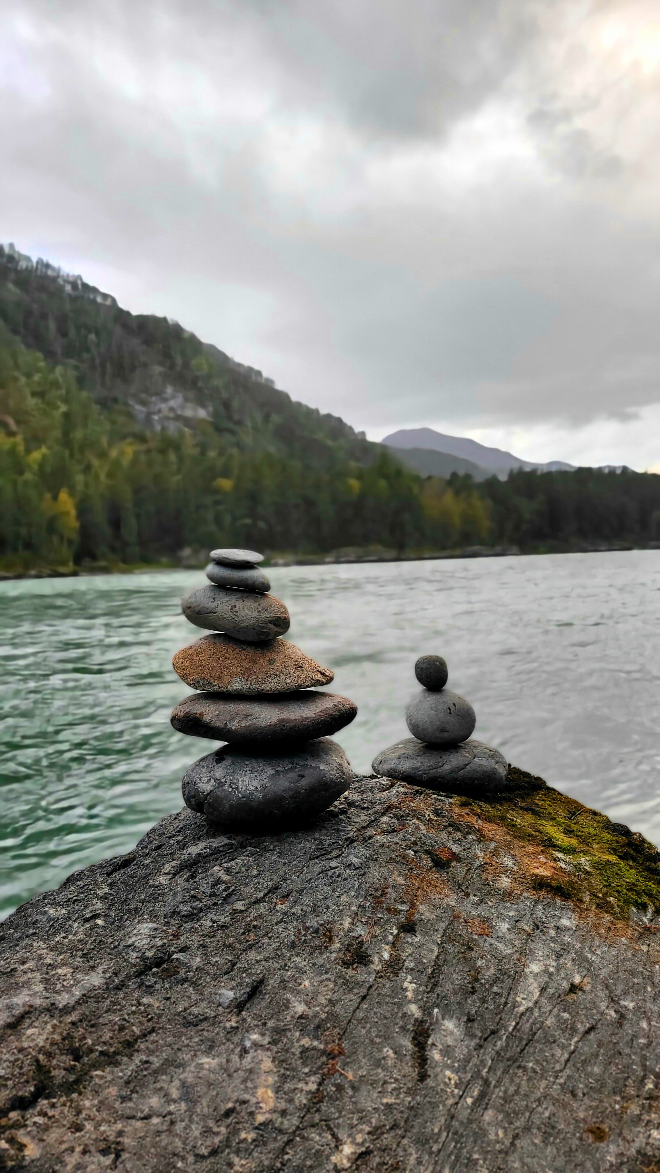 Фото Усадьба Светоч