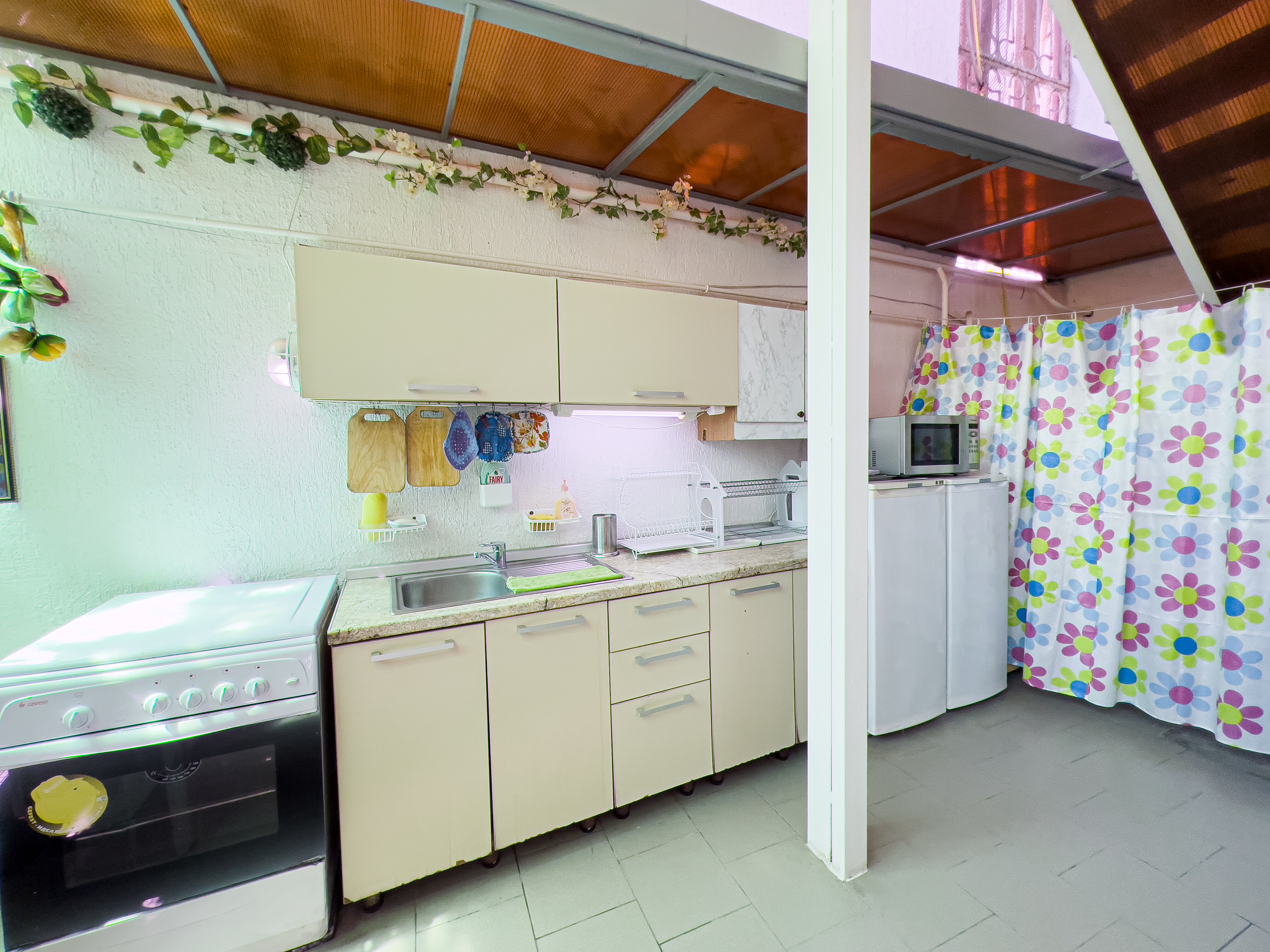 Фото Дельфин на Черноморской