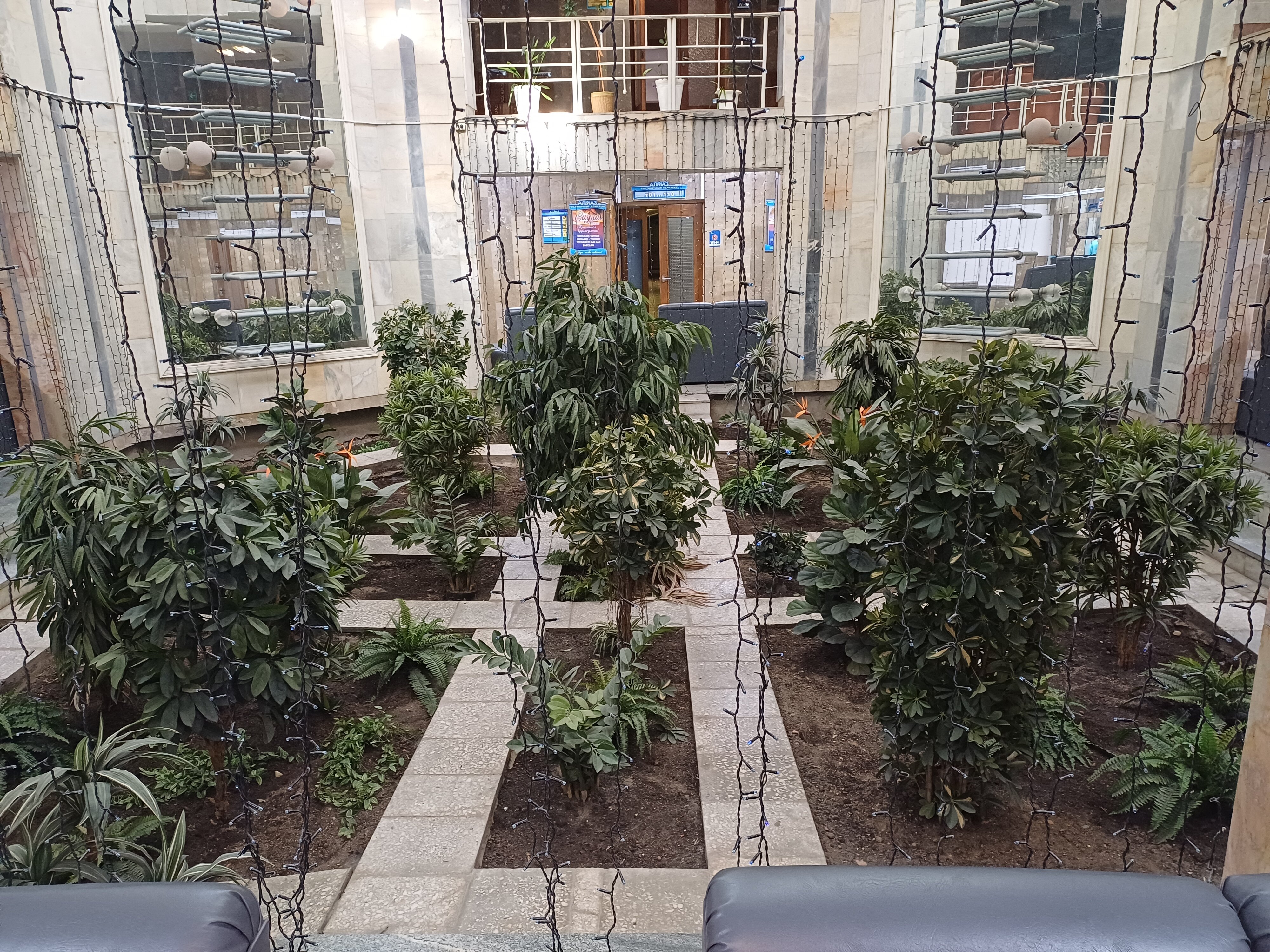 Фото Алмаз