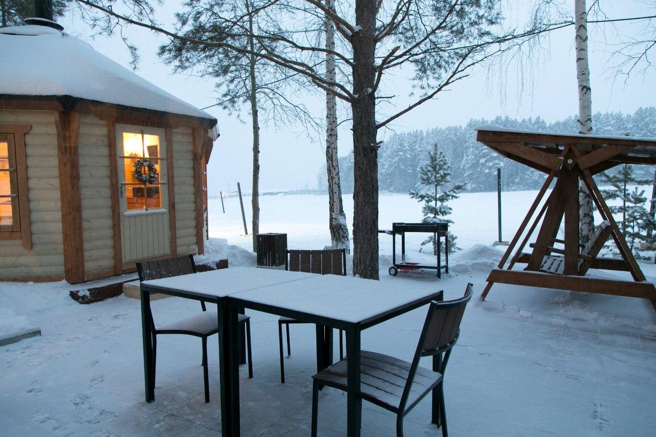 Фото Белая лошадь