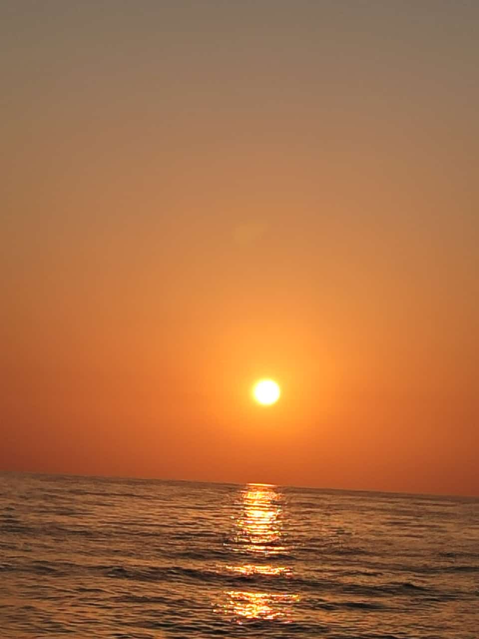 Фото У Елены