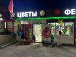 Цветы (Work Settlement of Pravdinskiy, ulitsa Lva Tolstogo, 1), flower shop