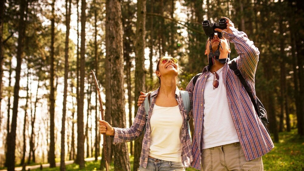 Фото Sun Plaza Motel