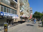 Independent Accountant Financial Advisor Canan Anar (İzmir, Konak, İnönü Cad., 278D), accountants