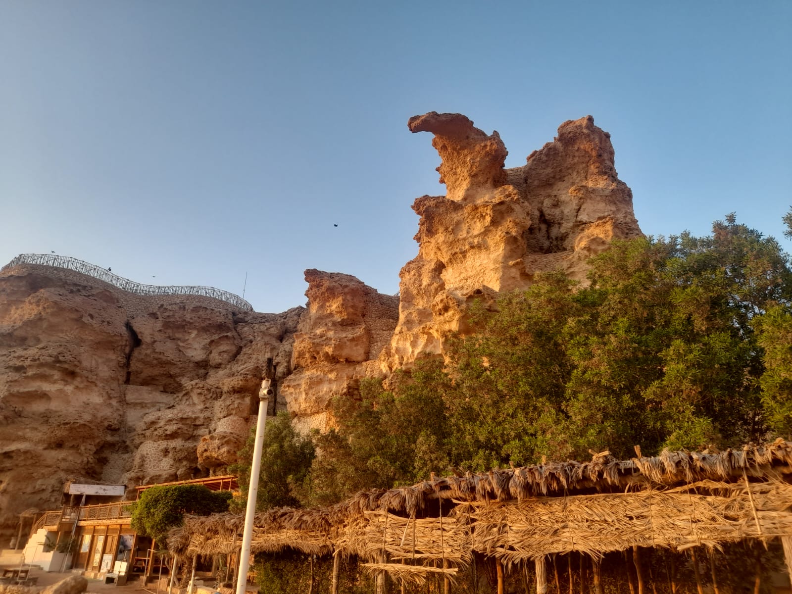 Фото Dreams Vacation