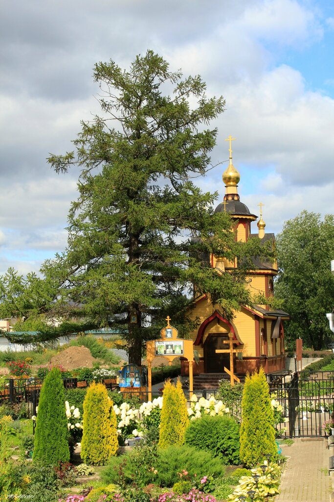 Chapel, memorial cross Часовня царственных страстотерпцев Свято-Троицкого Серафимо-Дивеевского монастыря, Nizhny Novgorod Oblast', photo