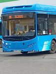 Набережная (Transportnaya Street, 136) ، توقف وسائل النقل العام