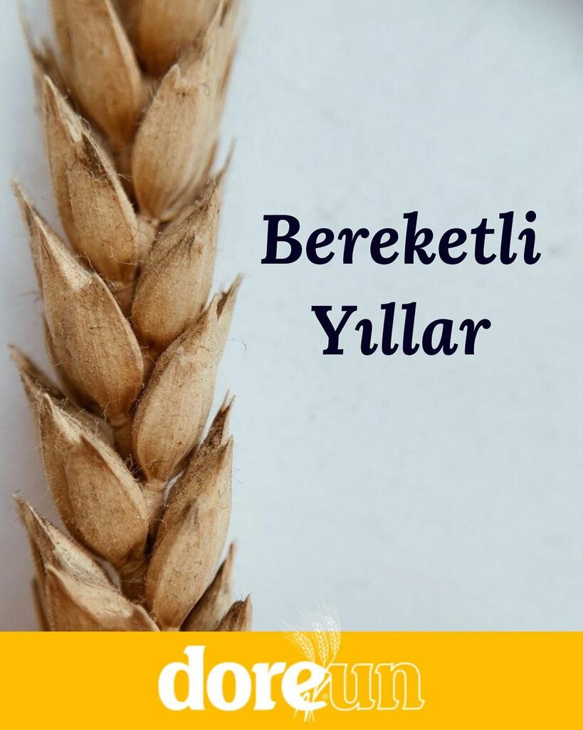 Flour and grains Bafra Flour, Silivri, photo