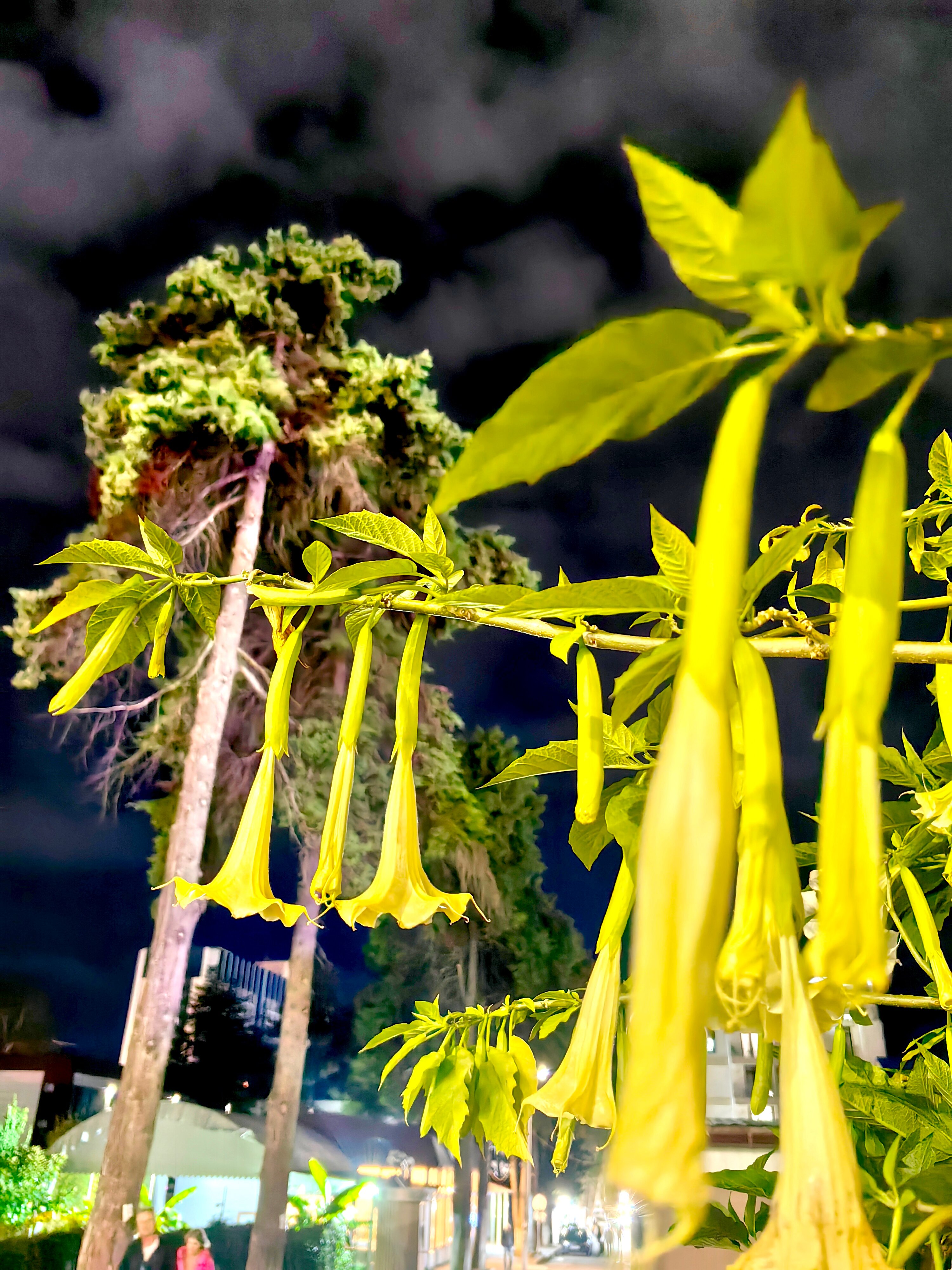 Фото Енисей