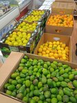 Продукты (Moscow Region, Ramenskiy Urban District, derevnya Starnikovo), grocery