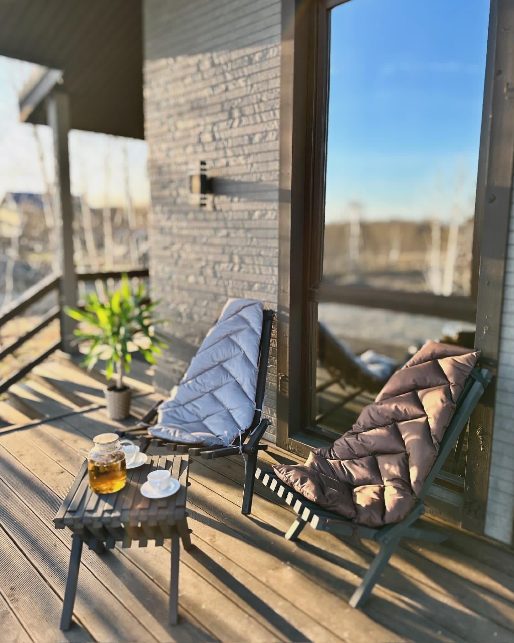 Фото Земля медведей