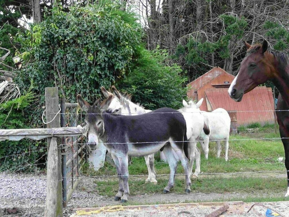 Hotel New Barn Cottage B&b, England, photo