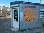 Стройхозтовары (Brest, Rechyckaja vulica), household goods and chemicals shop