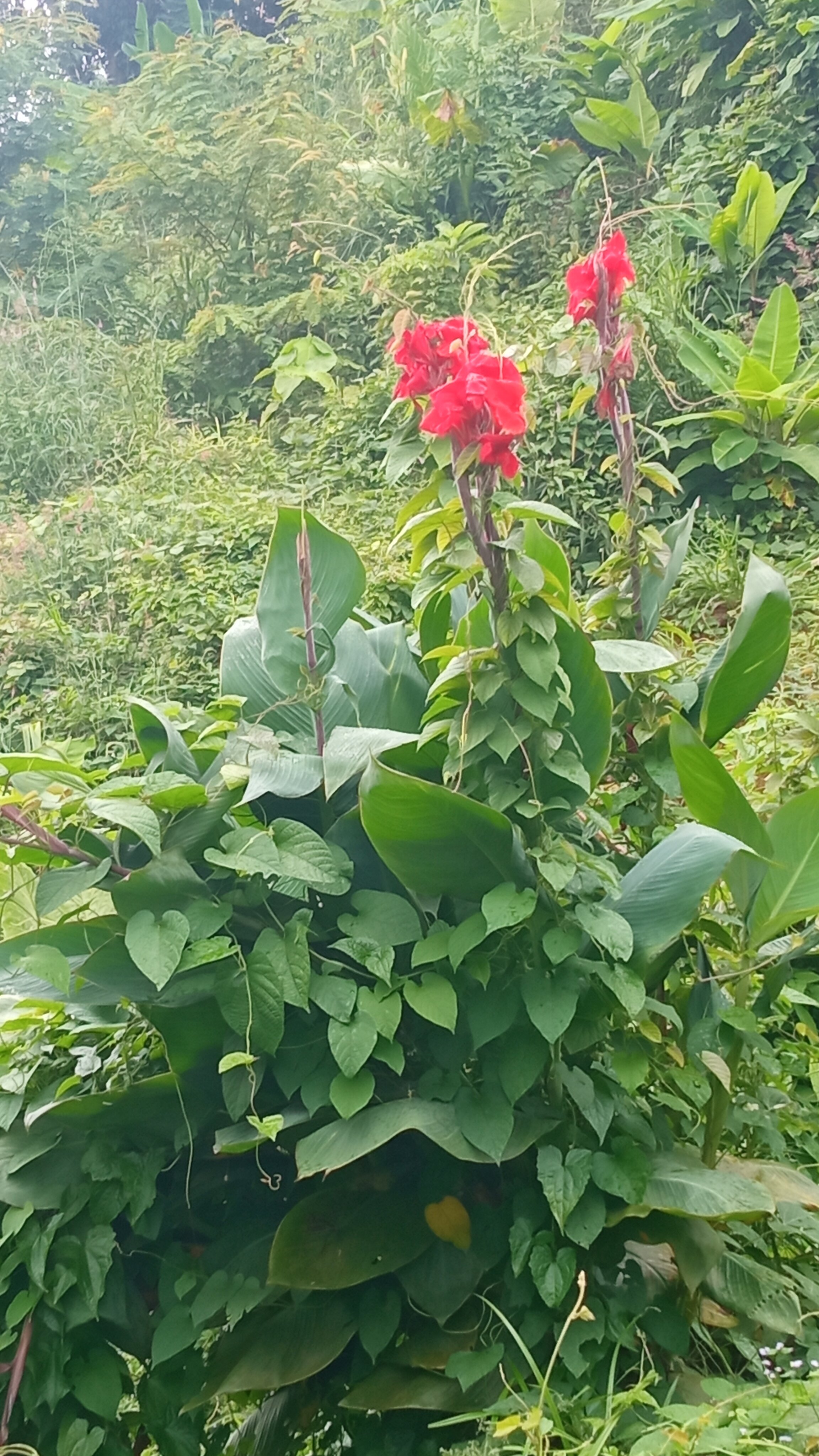 Фото Baan Karon Resort