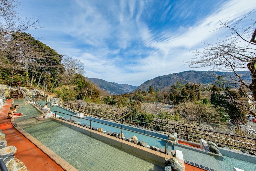 Фото Hakone Kowakien