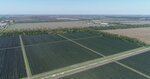 Гранат (Krasnodar Territory, Kurganinskoye gorodskoye poseleniye) ، المشاريع الزراعية