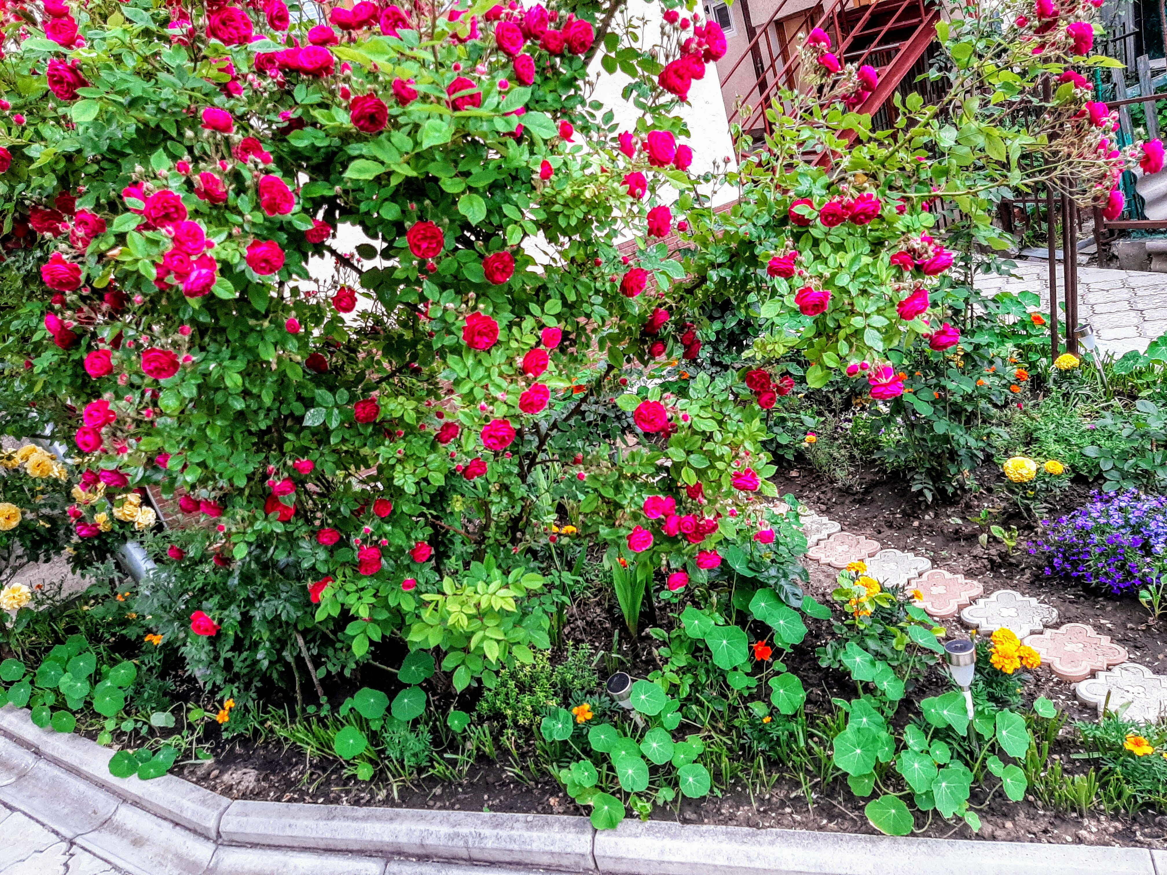 Фото Уютная