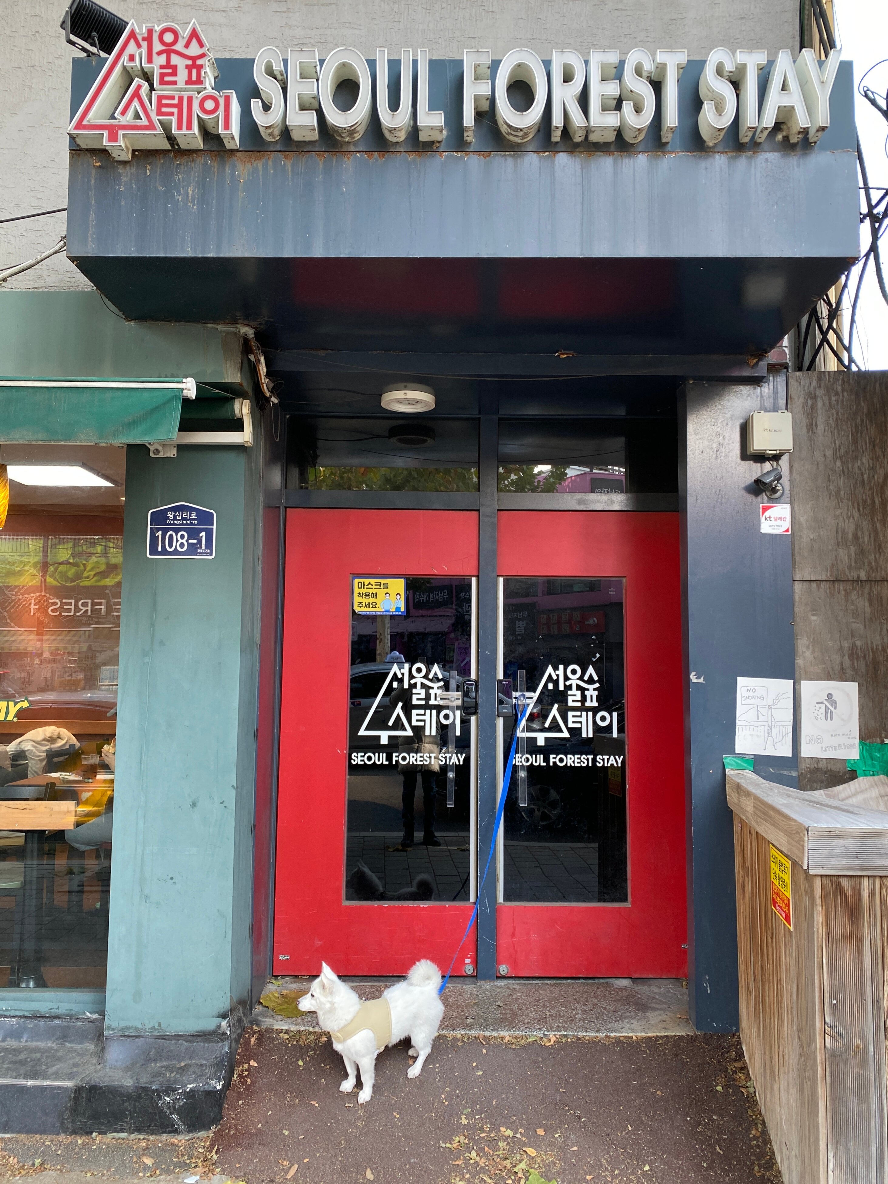 Фото Seoul Forest Stay