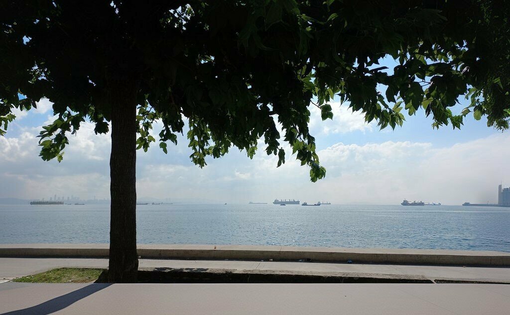 منتزه Mehmet Akif Ersoy Park ، اسطنبول، صورة