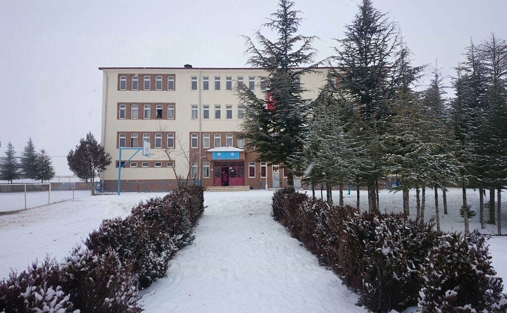 School Martyr Selcuk Dogan Middle School, Sarkikaraagac, photo
