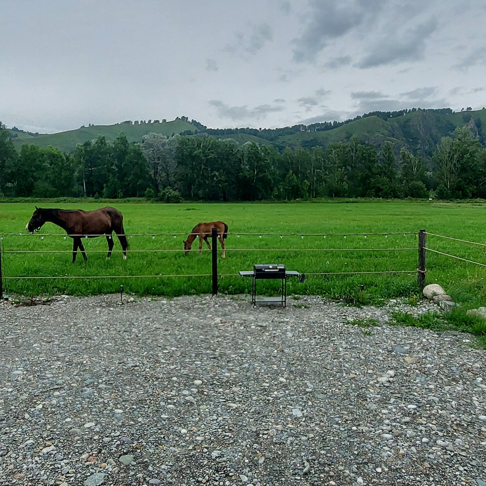 Фото Алтайдом Белогорье