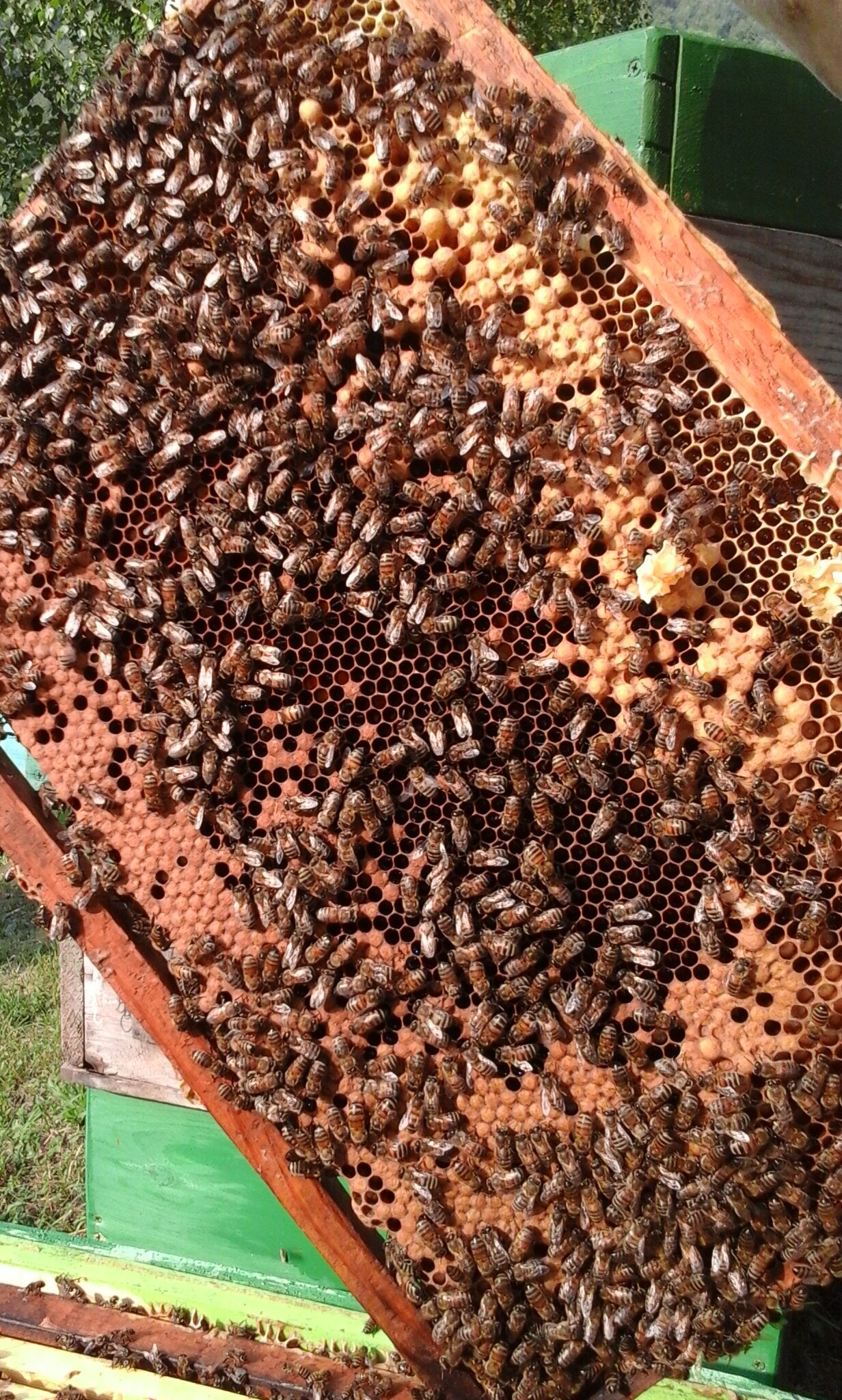 Фото Тихий Лог