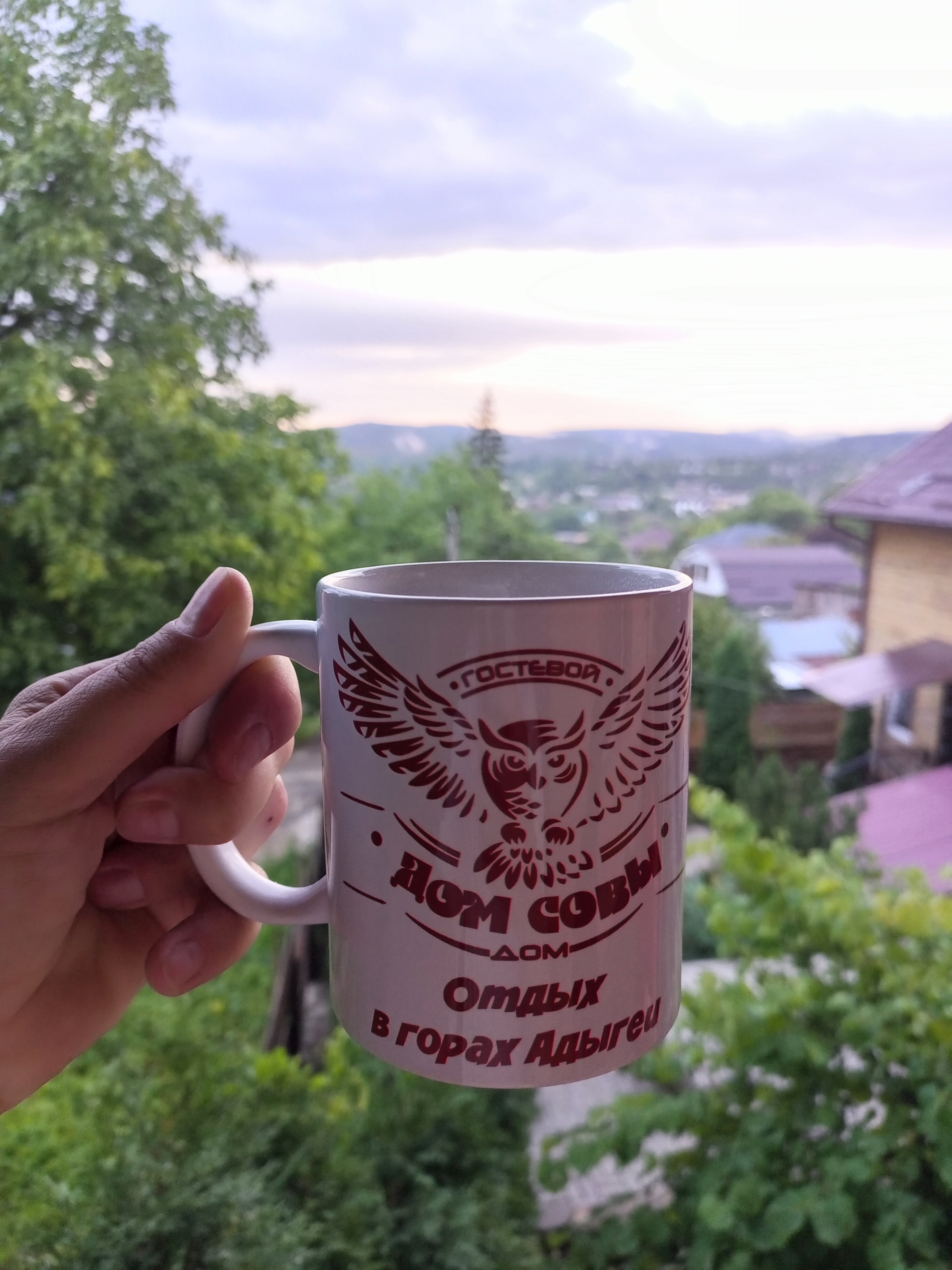 Фото Дом Совы