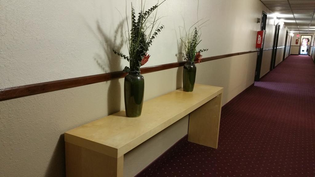 Фото Rodeway Inn