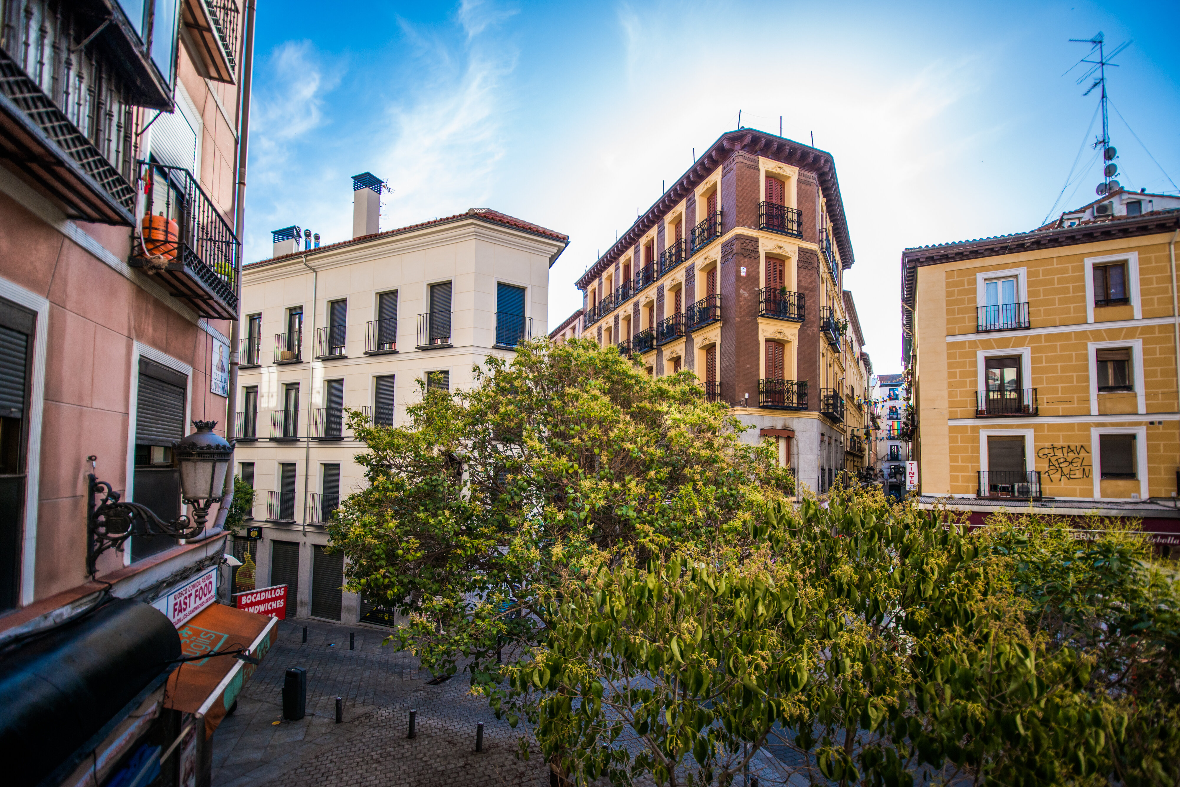 Фото Apartamentos Cruz