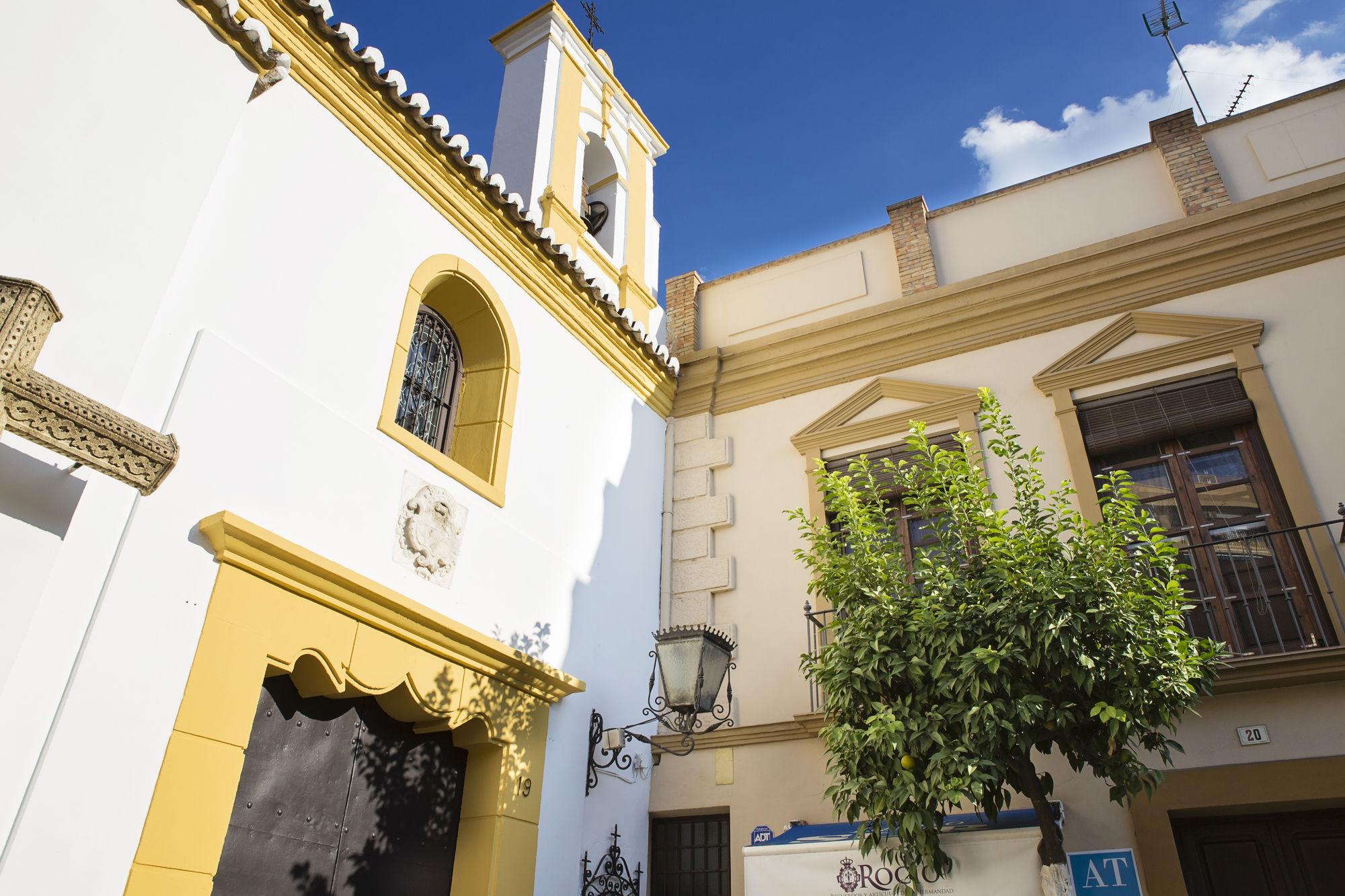 Фото Suncity Plaza Apartments