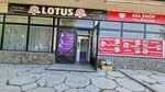 Aia Shop (Baizak Batyr Street, 217), perfume and cosmetics shop