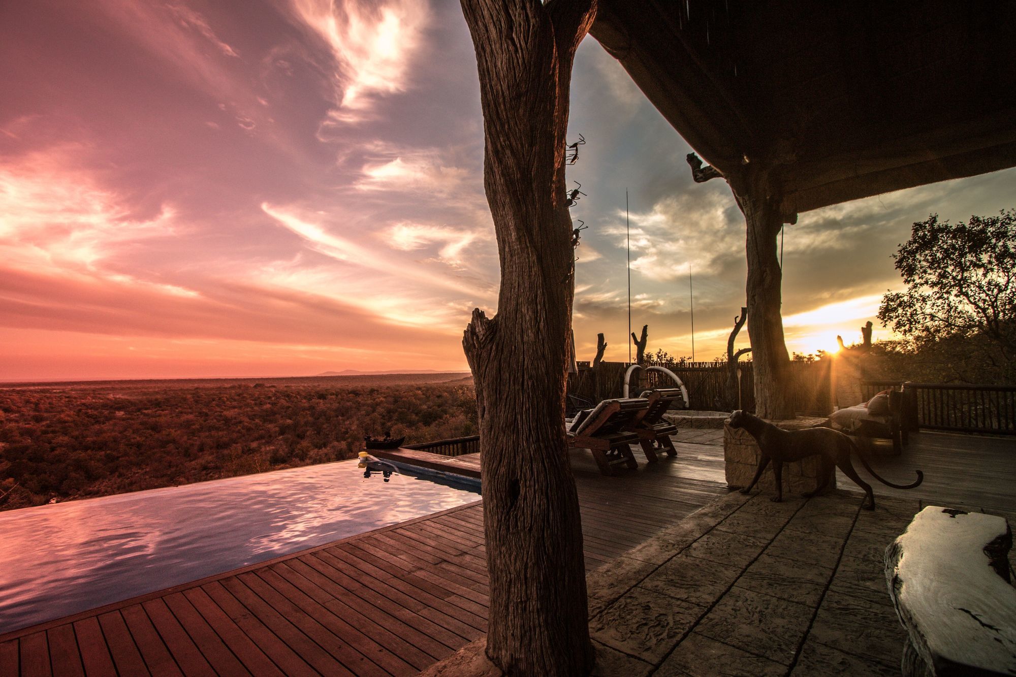 Фото Phumelelo Lodge