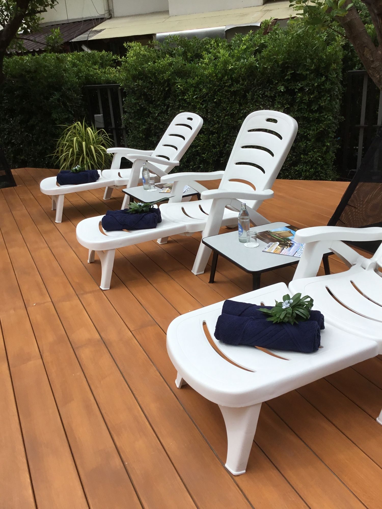 Фото Asana Hotel