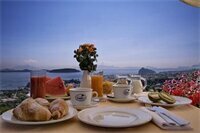 Гостиница Hotel Villa Ireos
