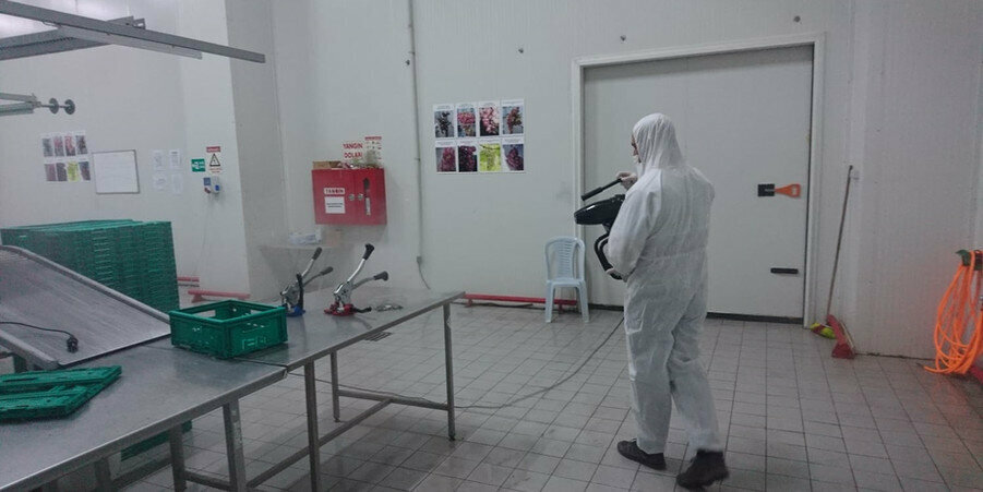 Disinfection, disinsection, deratization Smyrna Pest Control, Izmir, photo