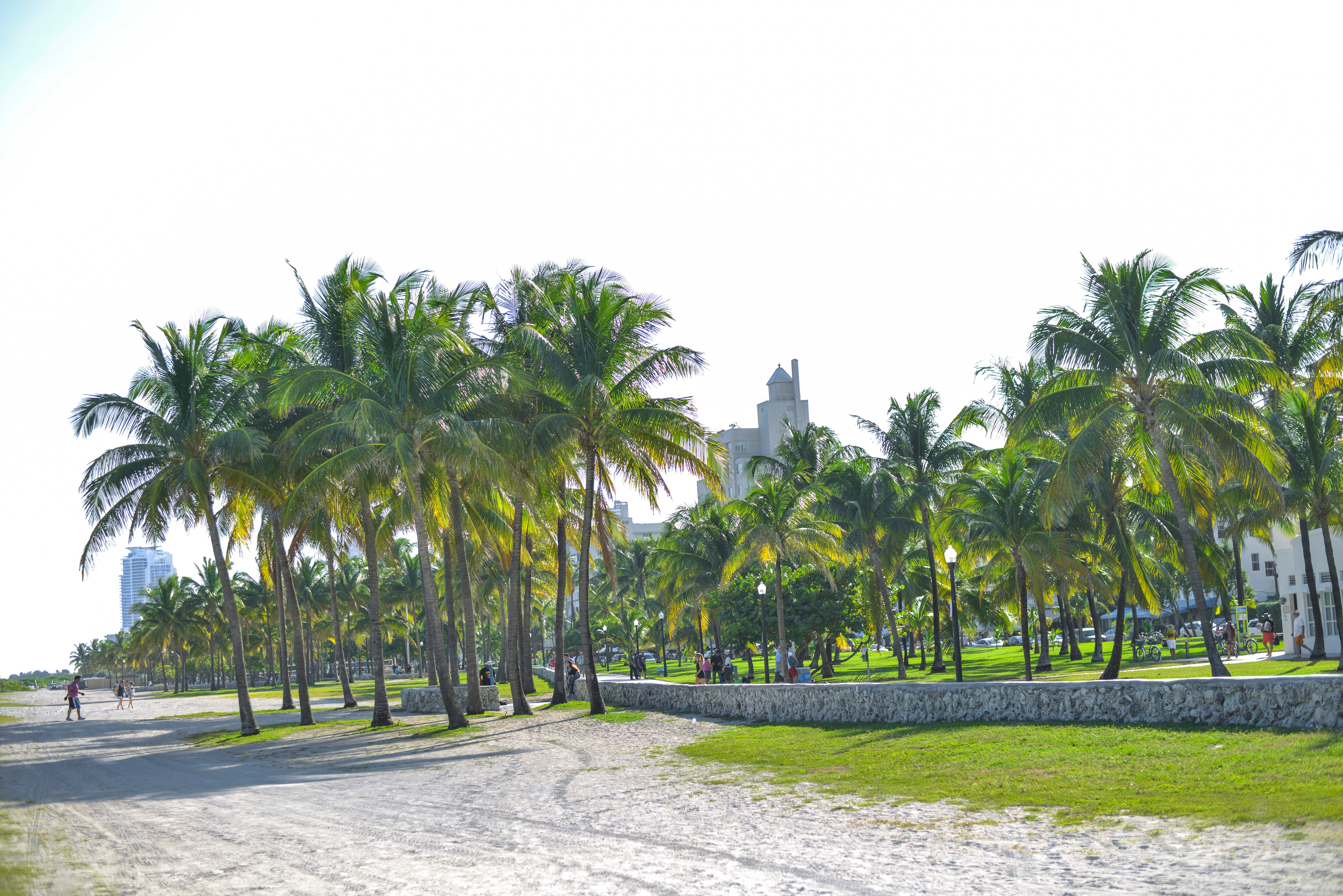 Фото Hilton Vacation Club Crescent on South Beach Miami