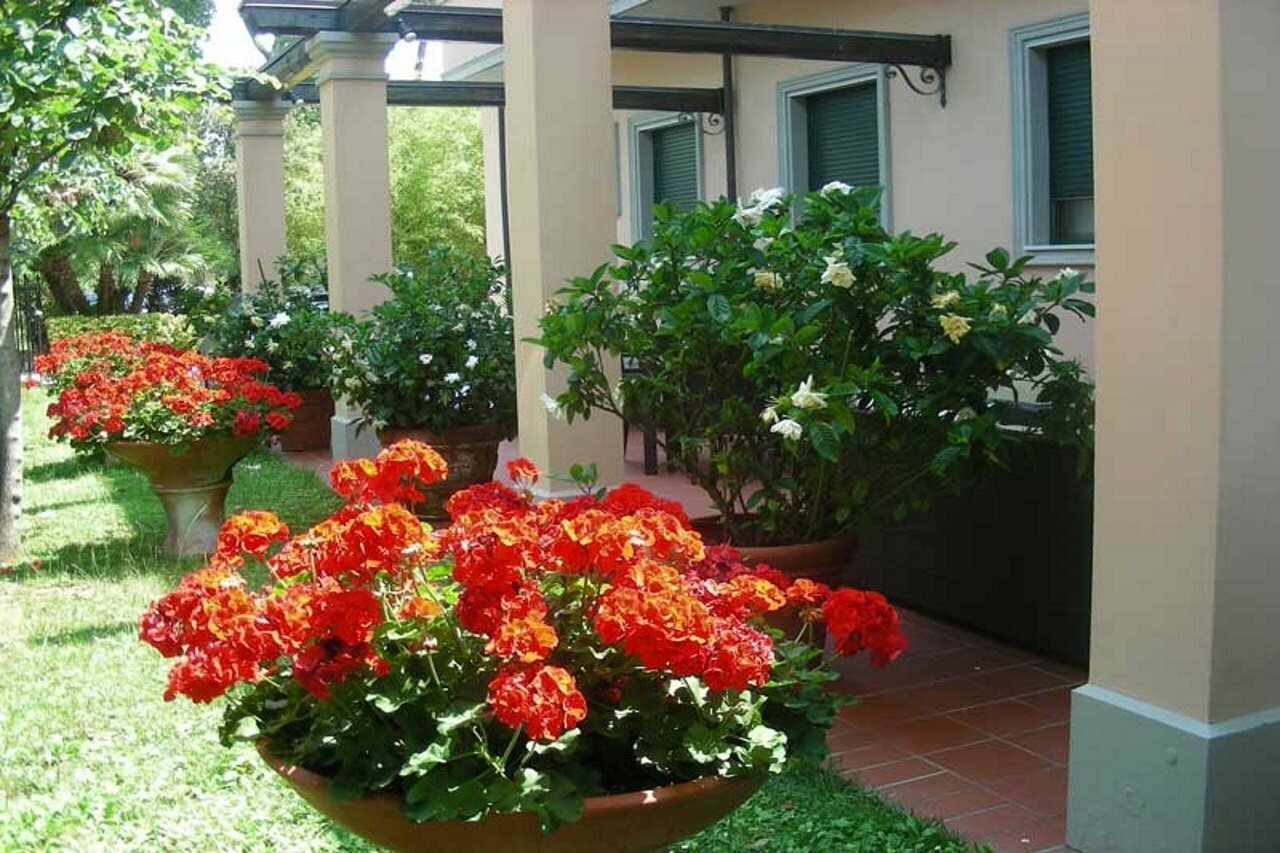 Фото Hotel Astor Victoria