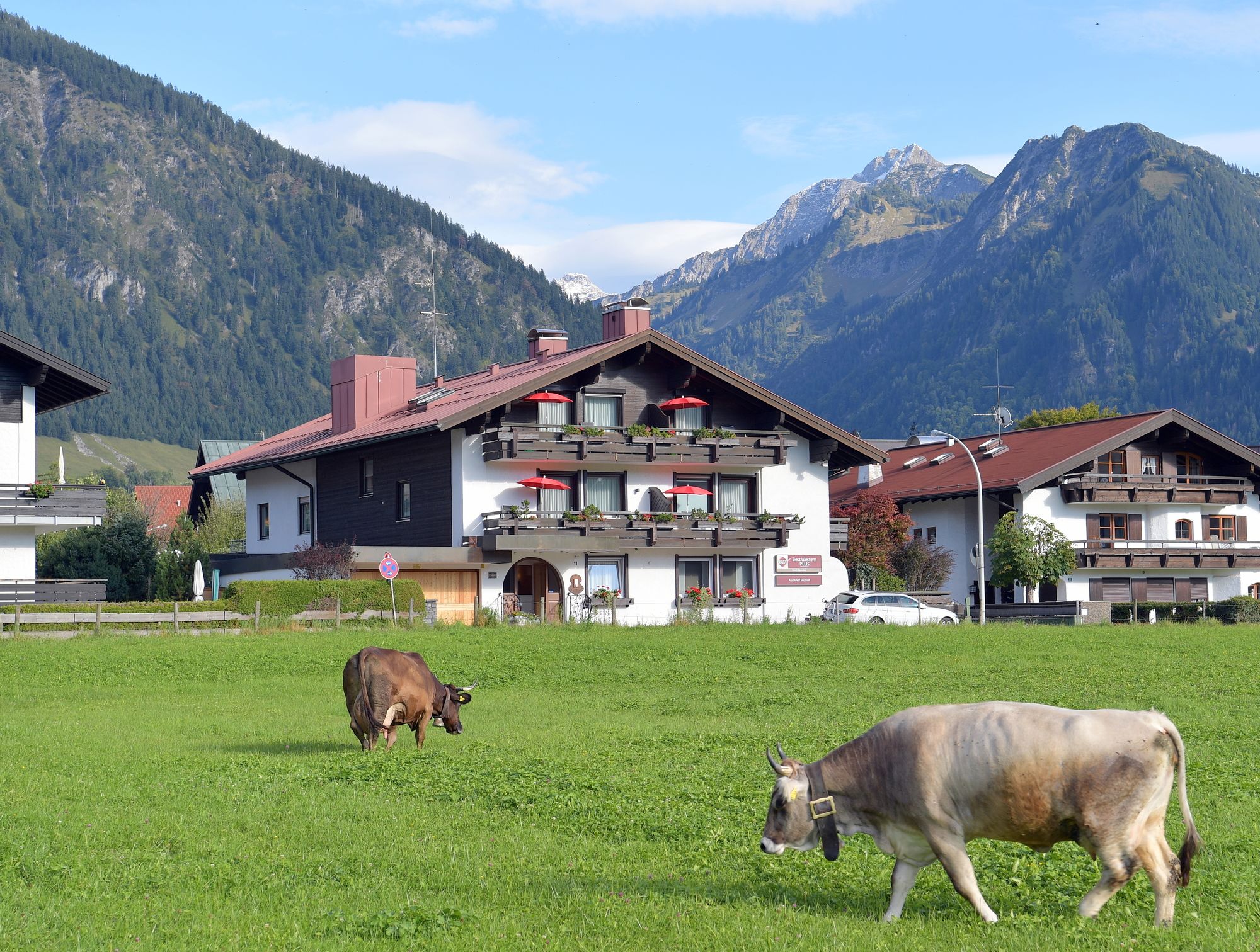 Фото Best Western Plus Hotel Alpenhof