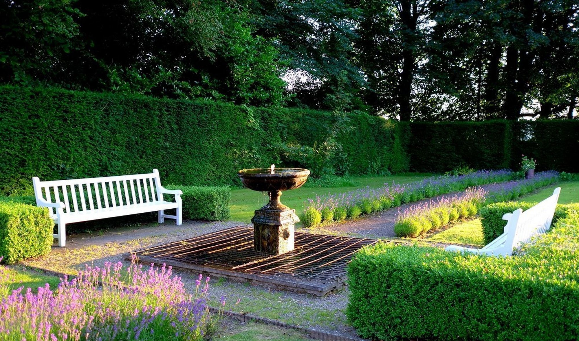 Фото The Elms Hotel and SPA