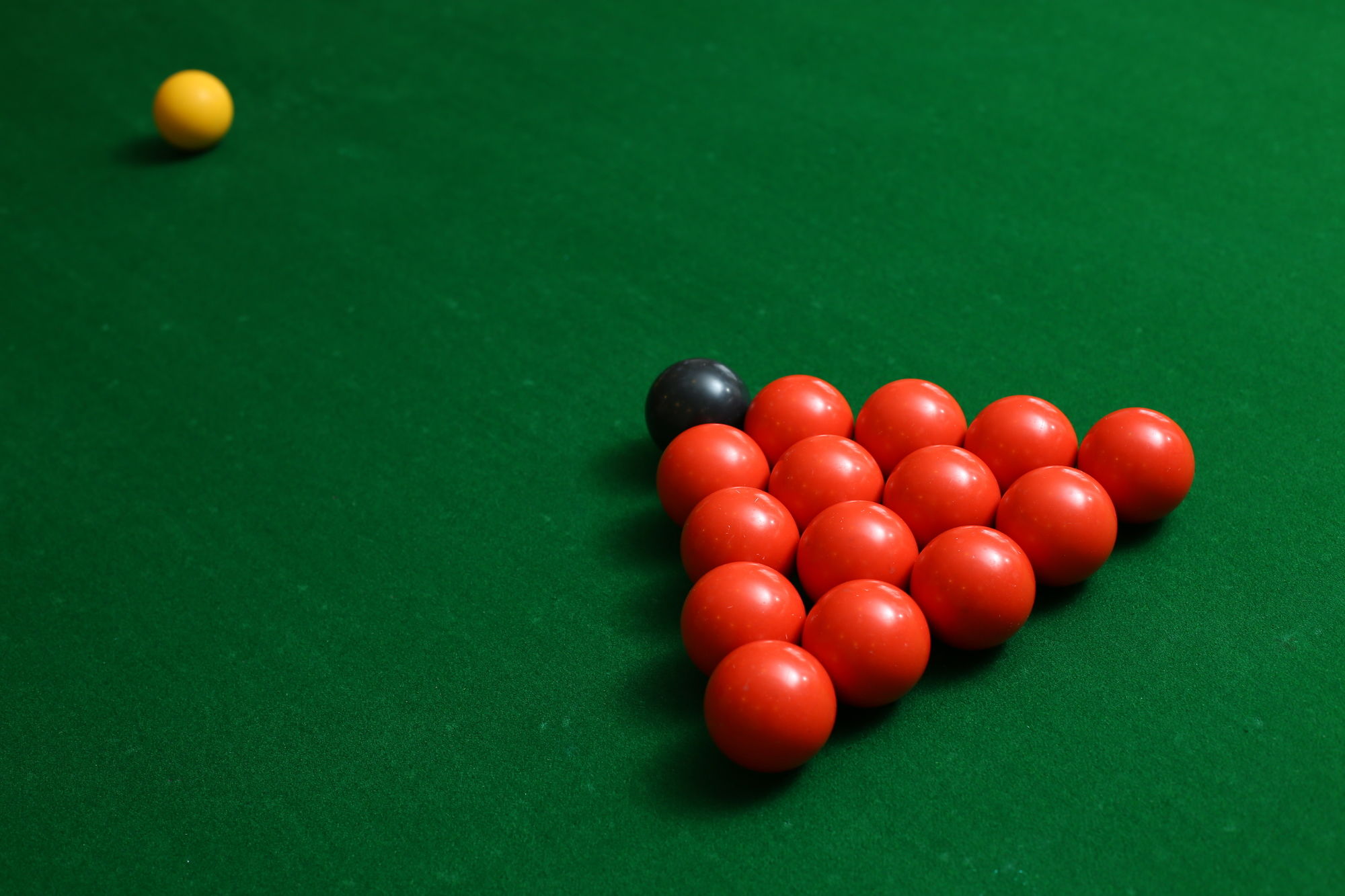 Фото Joys Palace