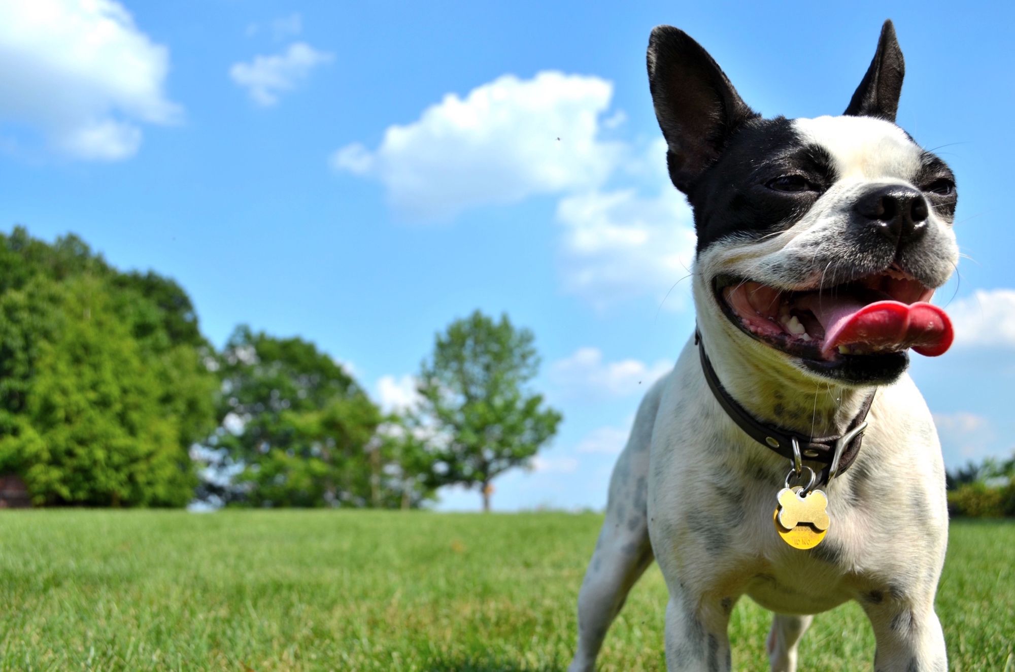 Фото Aloft Cleveland Downtown