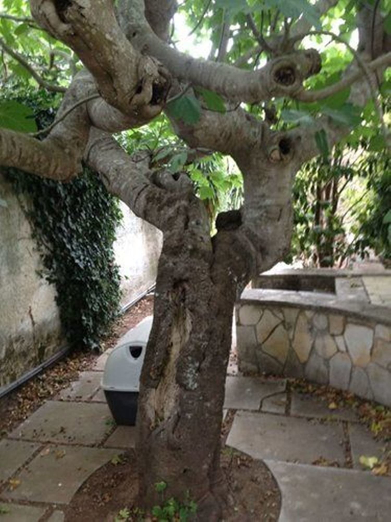 Фото B&b A Casa di Joy